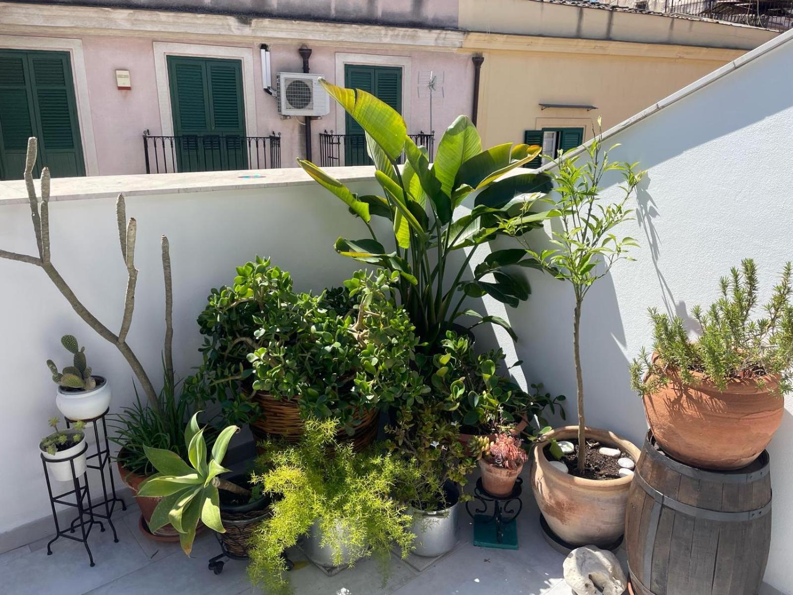 Terrazza Alla Cala Palermo Eksteriør billede